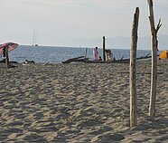 Badespaß kann man am freien Strand erleben