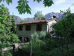 This house is close to the edge of the wood