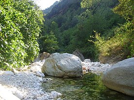 Refreshing bath at the river during lunch break